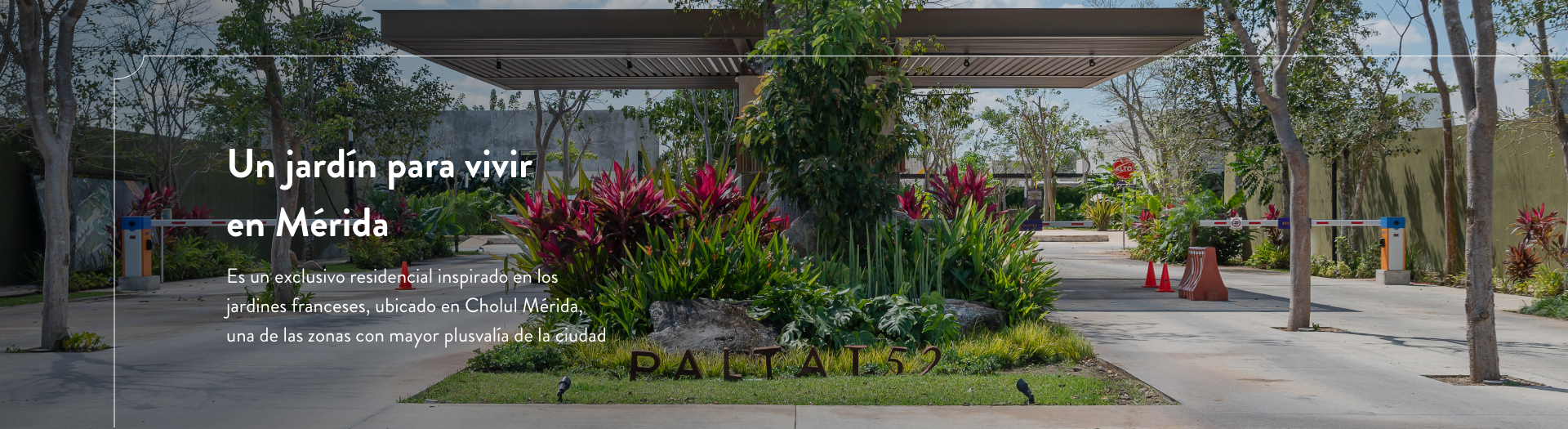 palta-banner